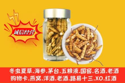 克孜勒苏乌恰县回收散虫草