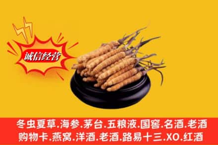 克孜勒苏乌恰县求购回收虫草多少钱每克